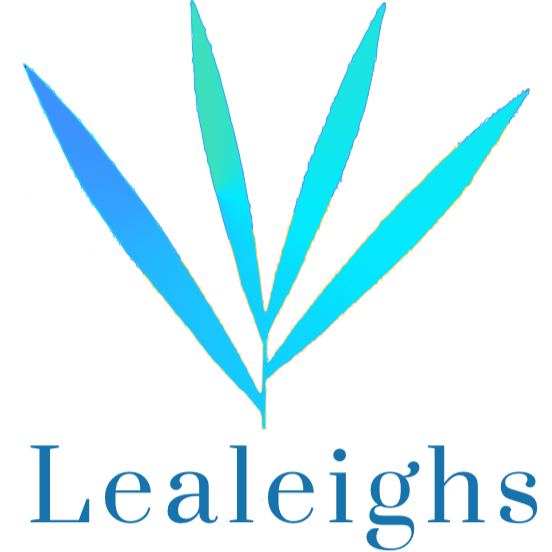 Lealeighs | store | 3/1 Pacific Ave, Tannum Sands QLD 4680, Australia | 0749737660 OR +61 7 4973 7660