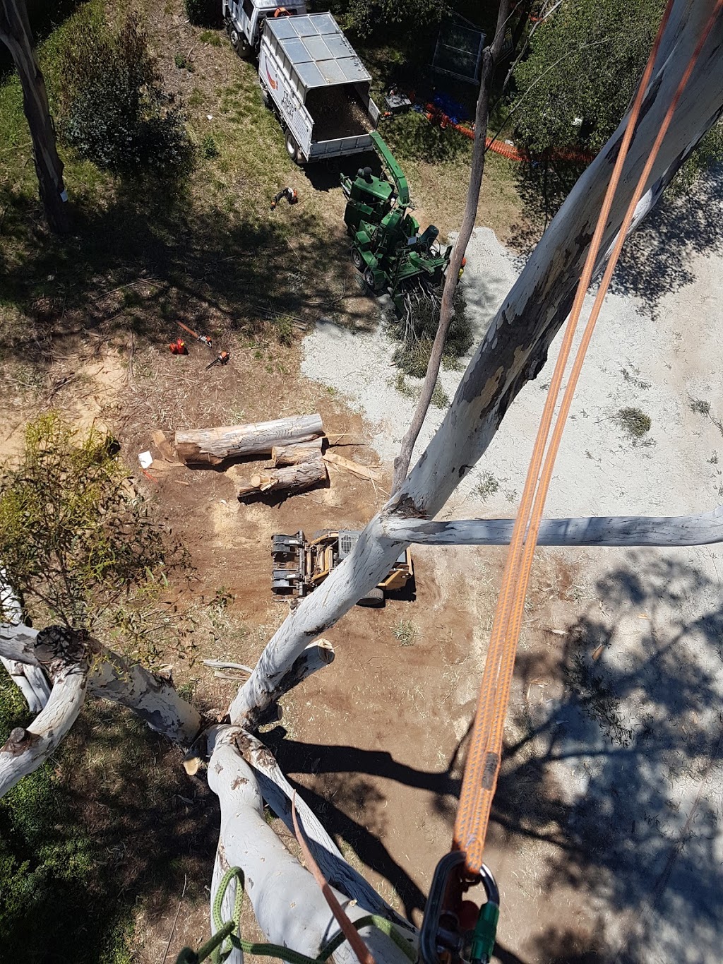 Climb High Tree Services | 880 Federal Hwy, Watson ACT 2602, Australia | Phone: 0402 089 736