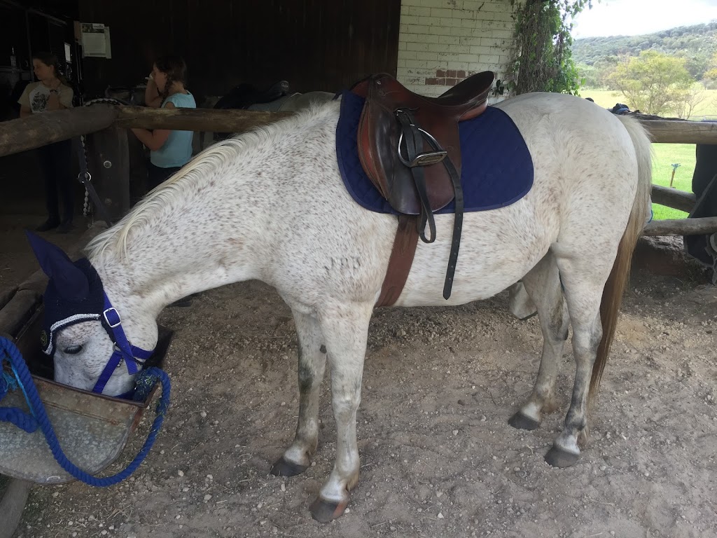 Yarrada Farm Riding School | 1644 Great Northern Hwy, Upper Swan WA 6069, Australia | Phone: (08) 9296 4487