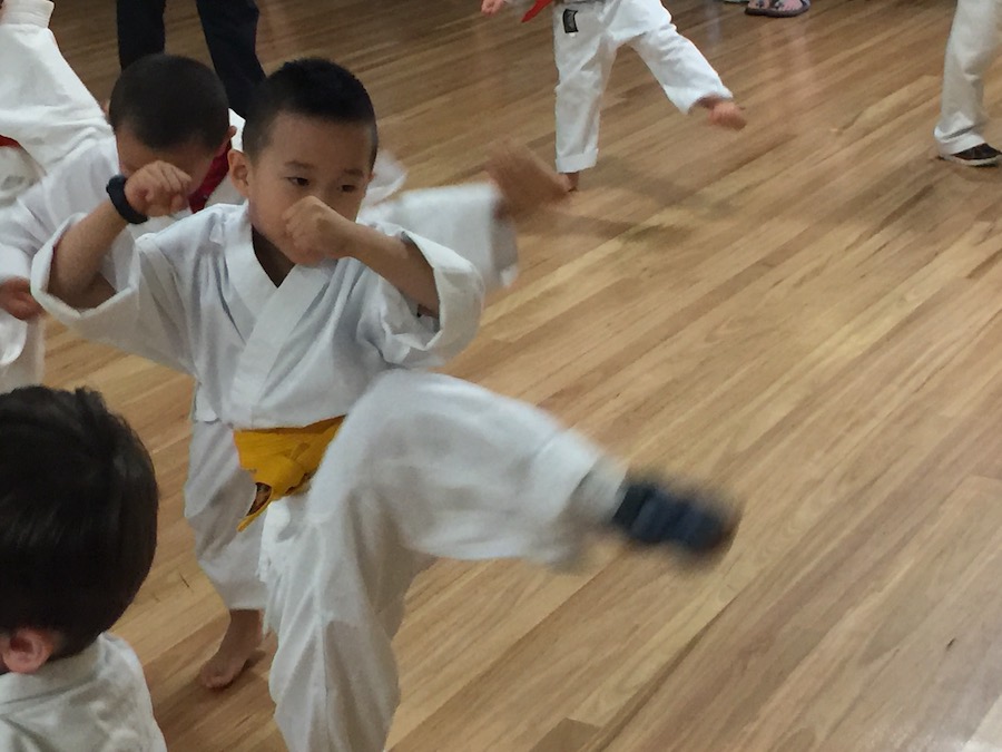 Australias Youth Self Defence Karate | 128 Kent St, Epping Heights NSW 2121, Australia | Phone: (02) 9904 5667