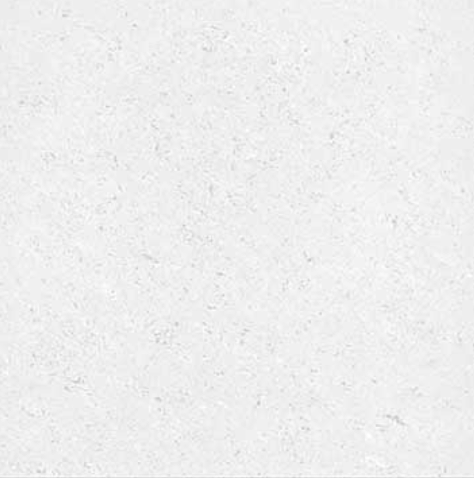 Midcoast Luxury Tiles | 31 Bridge St, Stratford NSW 2422, Australia | Phone: 0420 348 971
