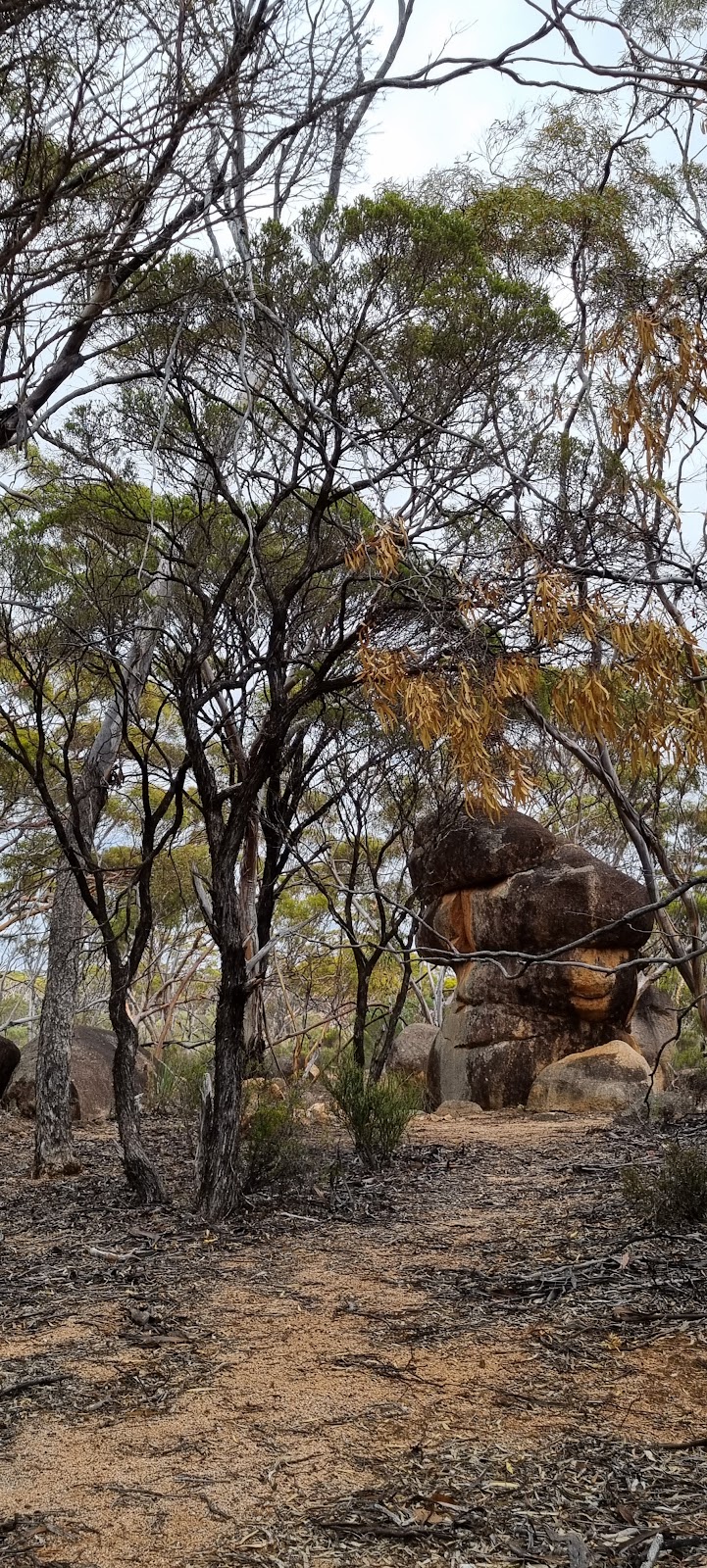 Old Dundas Town | via Coolgardie Esperance Highway, Norseman WA 6443, Australia | Phone: (08) 9039 1071