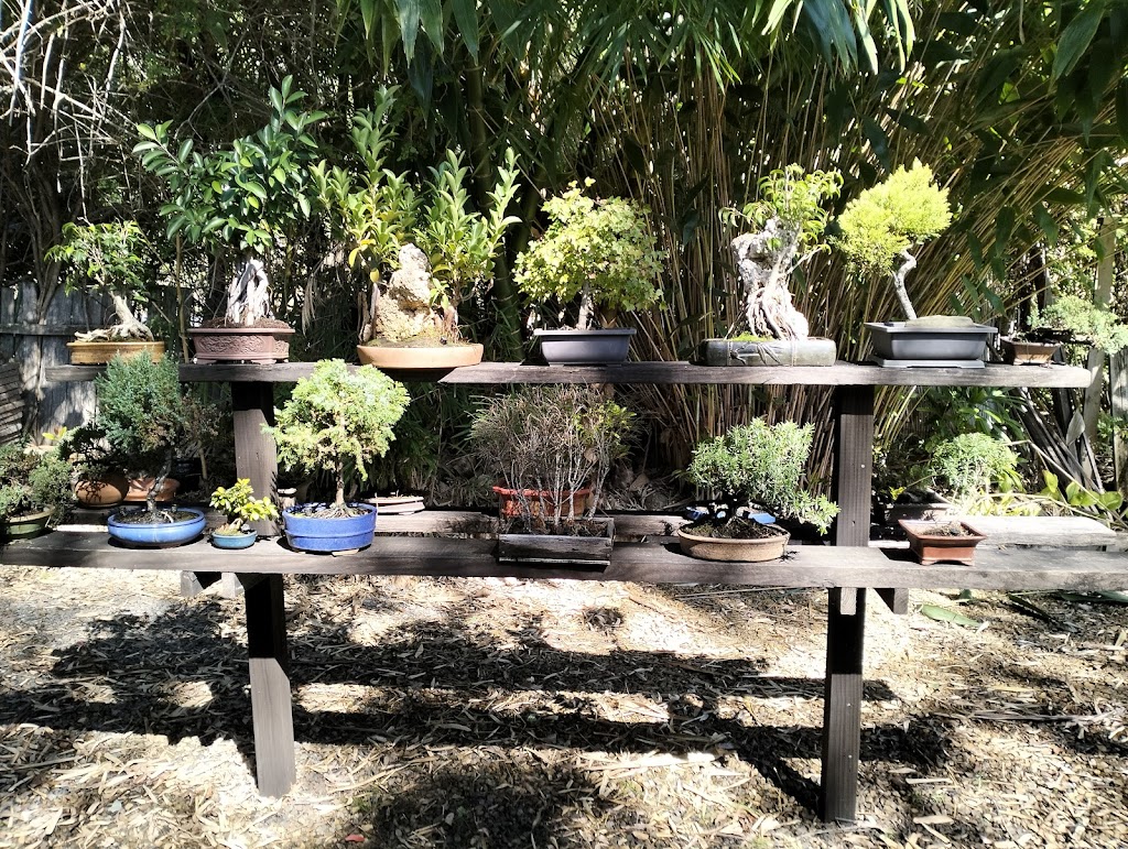 Scotts Head Nursery | 482 Scotts Head Rd, Way Way NSW 2447, Australia | Phone: 0478 807 849