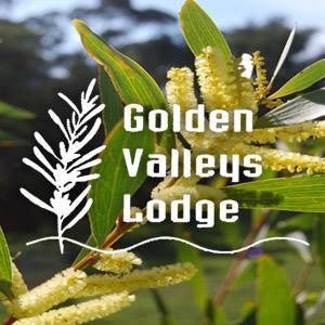 Golden Valleys Lodge | lodging | 151 Baldrys Rd, Flinders VIC 3929, Australia | 0359896213 OR +61 3 5989 6213