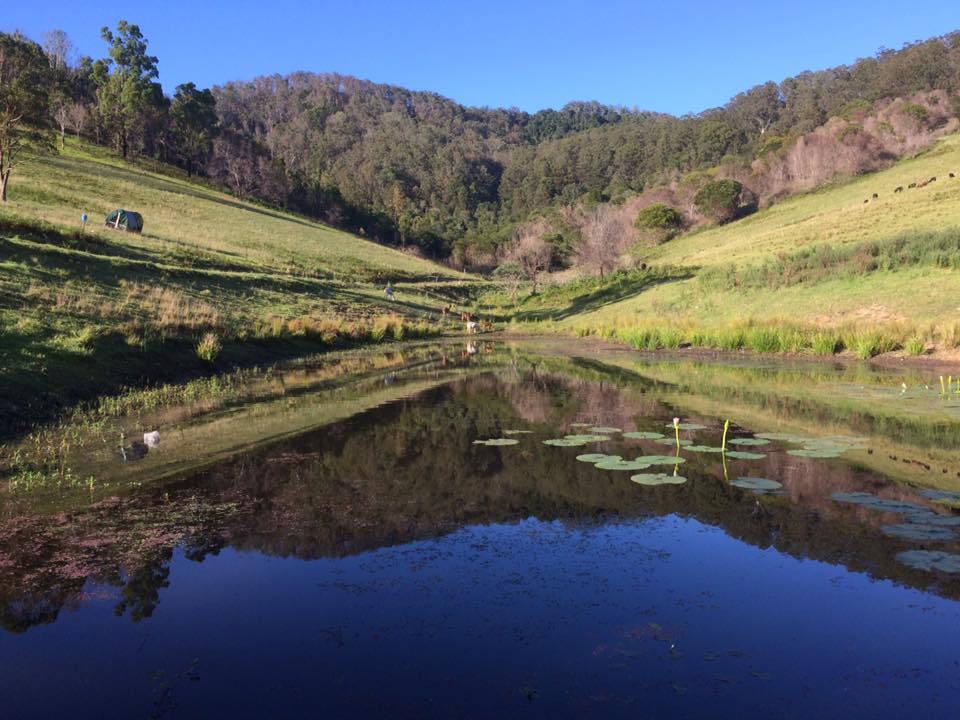 Nature Echo Farm Stay | 1089 Pappinbarra Rd, Lower Pappinbarra NSW 2446, Australia | Phone: 0403 546 887