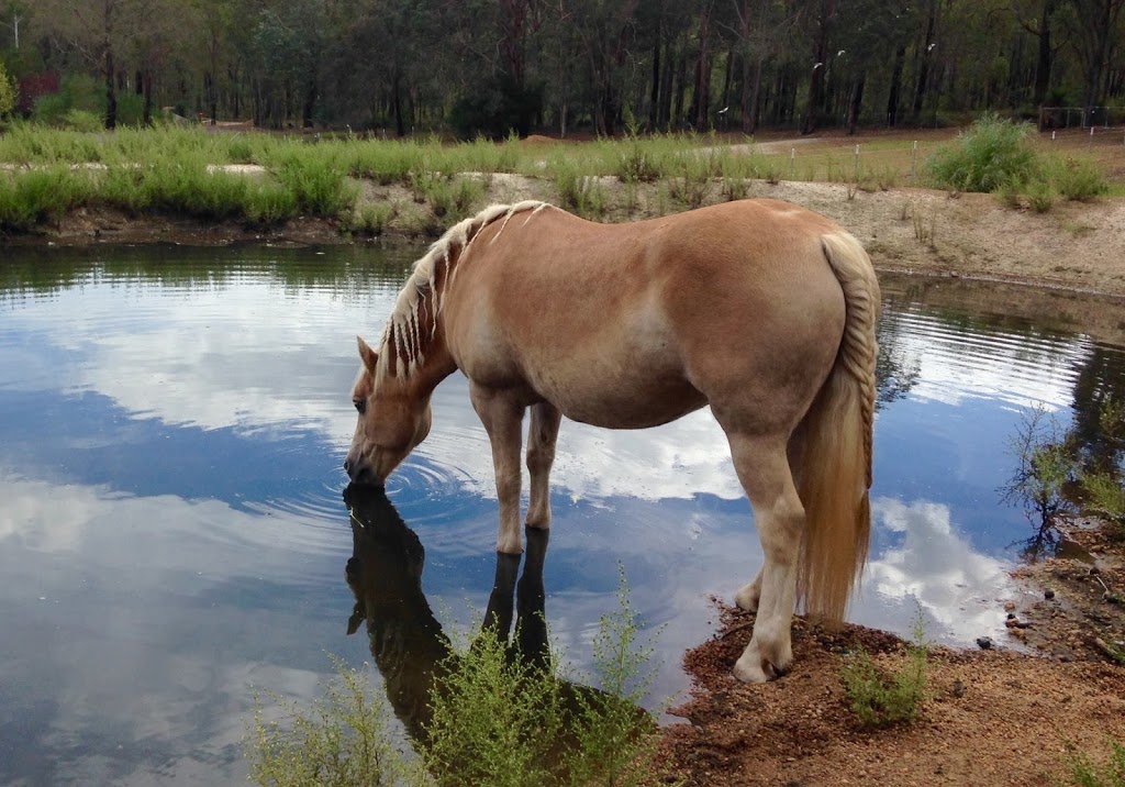 Gumleaf Cottage Farmstay | 1475 Brooking Rd, Hovea WA 6071, Australia | Phone: 0407 429 041