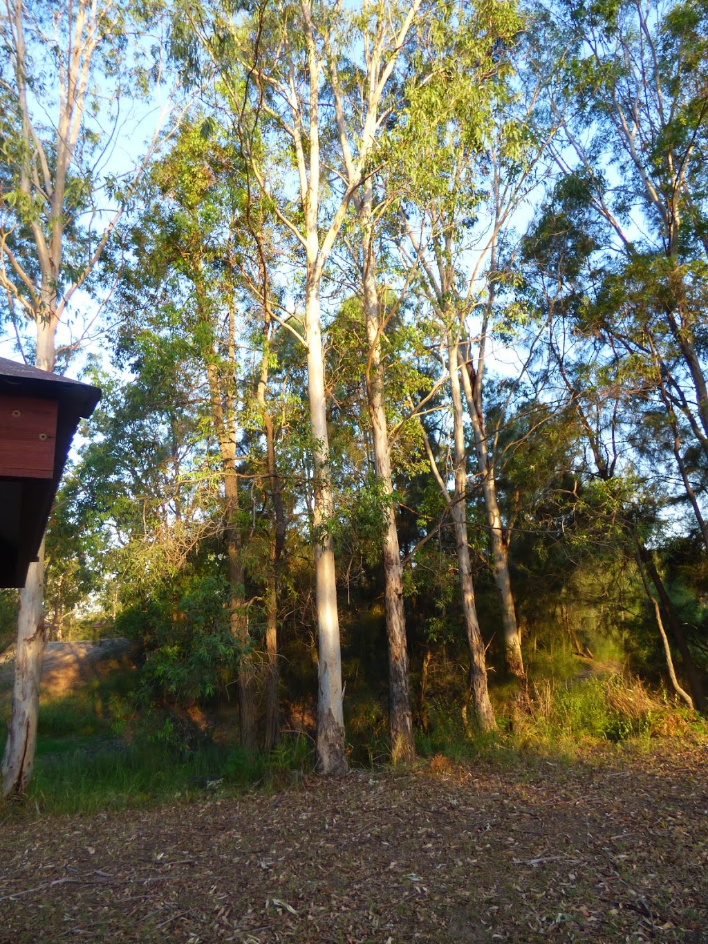 Chinamans Hollow | park | 135 Cessnock Rd, Weston NSW 2326, Australia