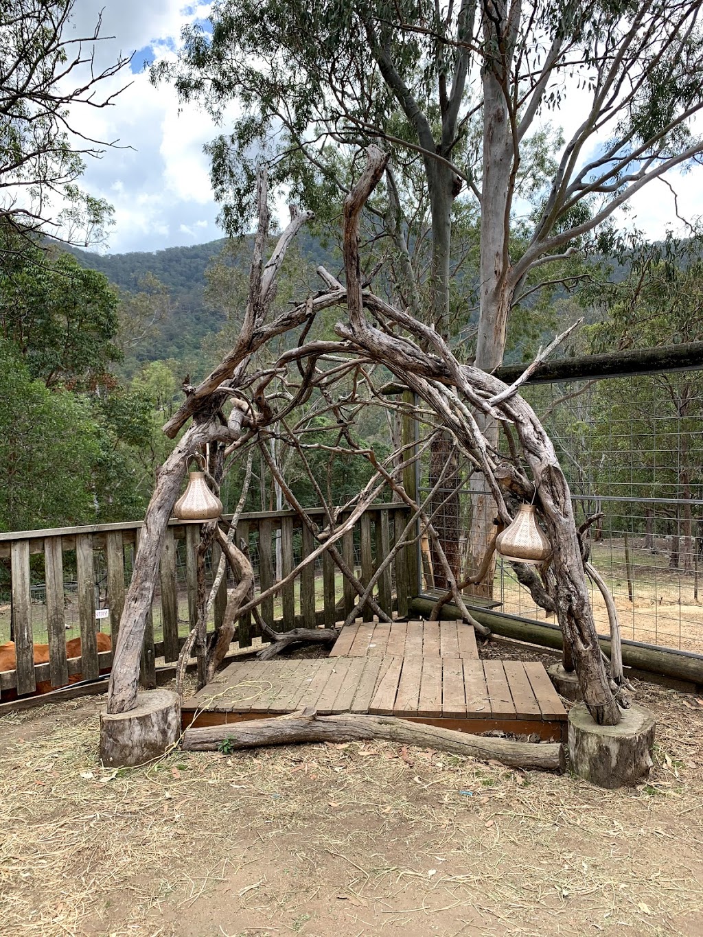 Deer Sanctuary | tourist attraction | 6 Lyell Ct, Mount Samson QLD 4520, Australia | 0411485156 OR +61 411 485 156