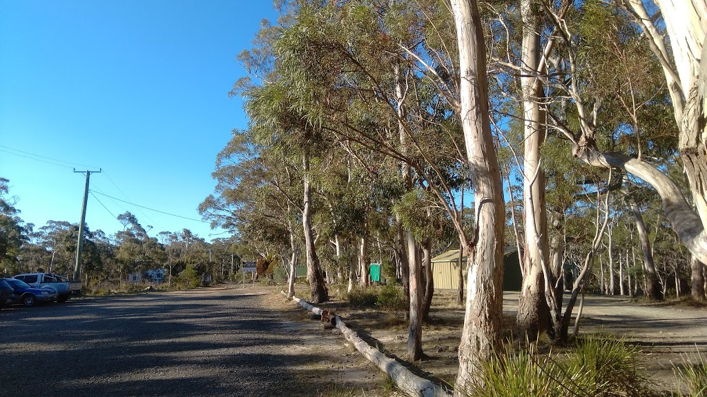 Tas Laser Skirmish | 186 Gilwell Dr, Kingston TAS 7050, Australia | Phone: (03) 6263 6784