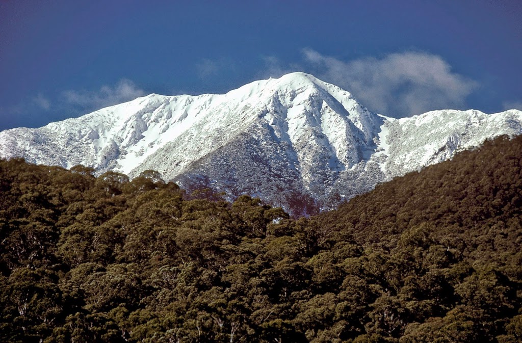 Tikkandi | 14 Alpine Ridge Dr, Merrijig VIC 3723, Australia | Phone: 0419 538 241