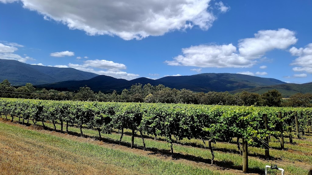 Mandala Wines | 108 Little Yarra Rd, Yarra Junction VIC 3797, Australia | Phone: 0409 809 058