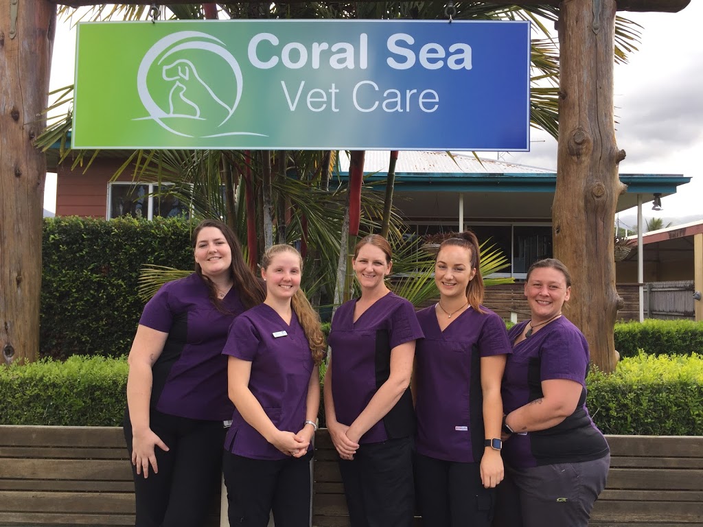 Coral Sea Vet Care | veterinary care | 47 Front St, Mossman QLD 4873, Australia | 0740981999 OR +61 7 4098 1999