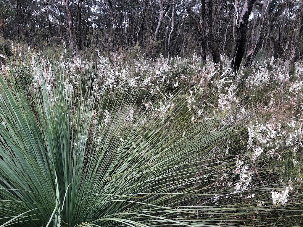 Trail Hiking Australia | 8 Fairway Cres, Darley VIC 3340, Australia | Phone: 0408 006 430