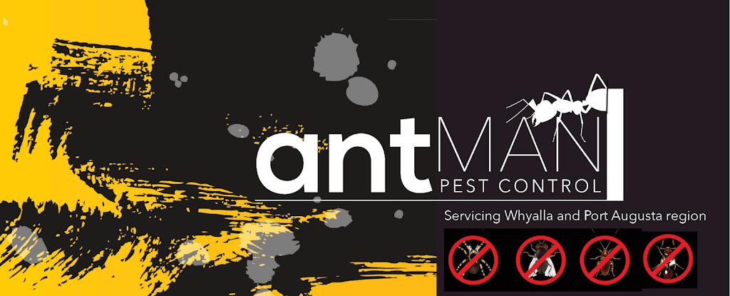 Antman pest control | home goods store | 8 Viscount Slim Ave, Whyalla Norrie SA 5608, Australia | 0421512529 OR +61 421 512 529