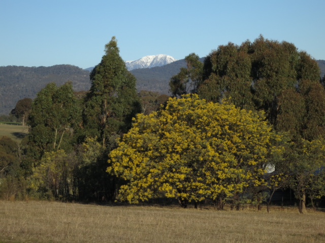 Adelberg | lodging | 75 Lochiel Rd, Barwite VIC 3722, Australia | 0468461244 OR +61 468 461 244