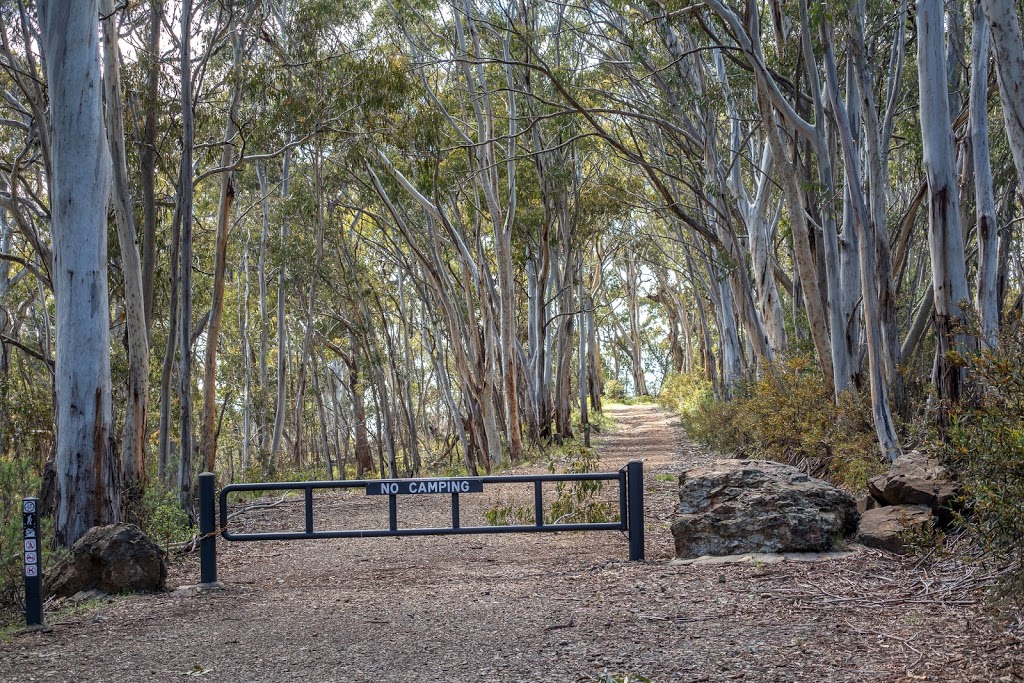 Bendora Arboretum Walk Trail Head | park | Mount Frankinn Rd, Brindabella NSW 2611, Australia