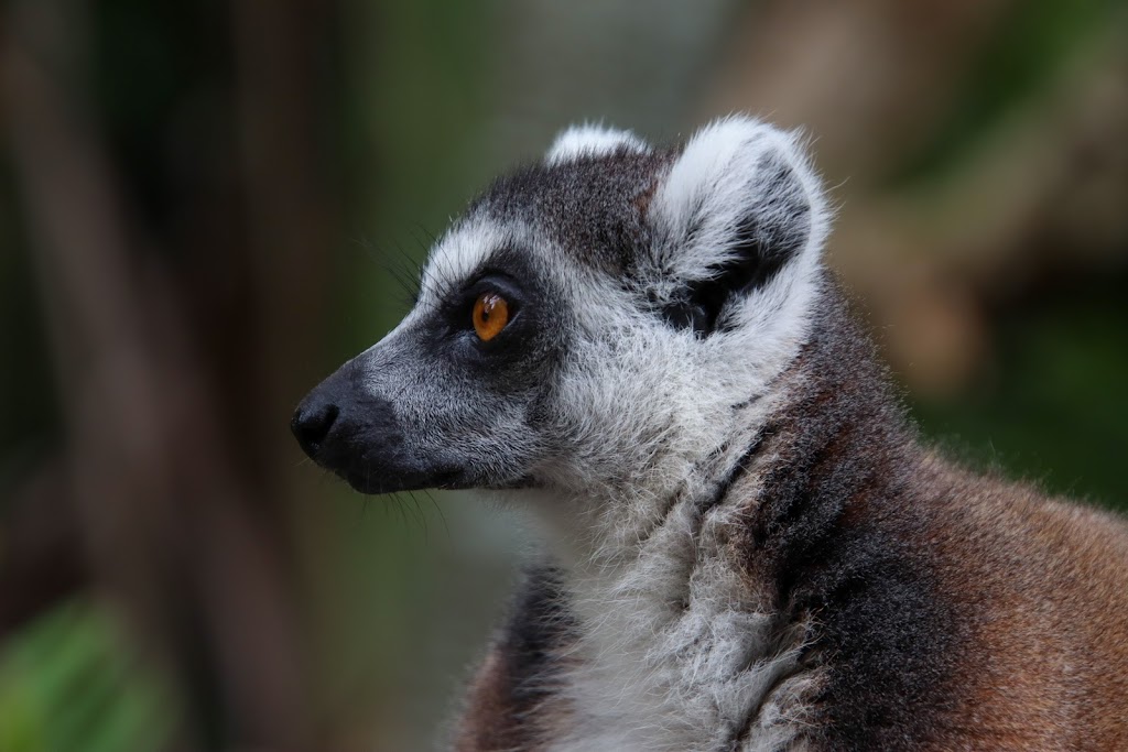 JJR Photography and Media | Honeysuckle Way, Calamvale QLD 4116, Australia | Phone: 0421 455 232