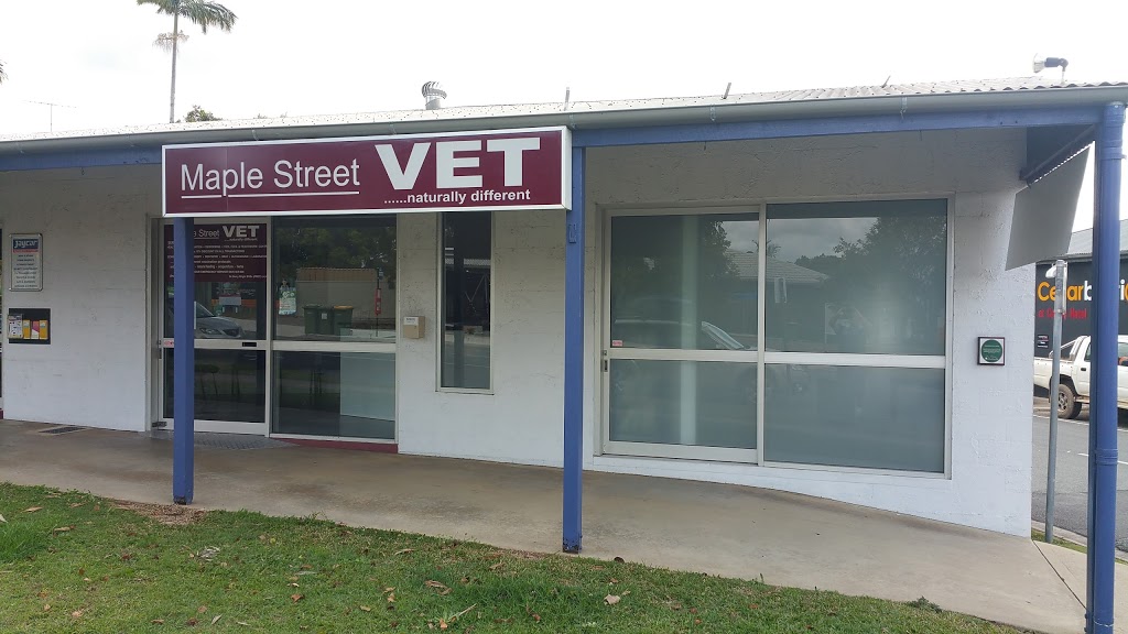 Maple Street Vet | veterinary care | 42 Maple St, Cooroy QLD 4563, Australia | 0754477877 OR +61 7 5447 7877