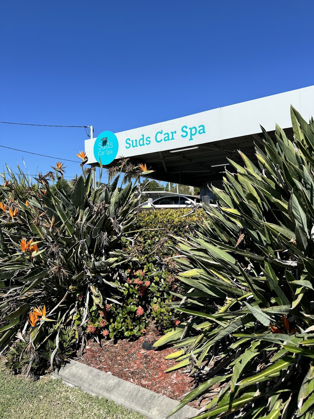 Suds Car Spa | 1463 Logan Rd, Mount Gravatt QLD 4122, Australia | Phone: 1800 007 837