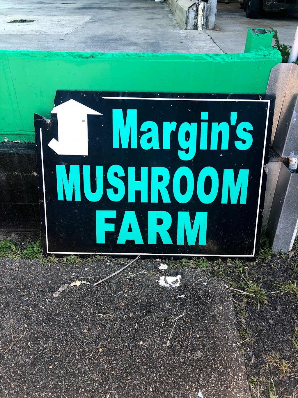 Margins Mushrooms | 536 Woy Woy Rd, Woy Woy NSW 2256, Australia | Phone: 0432 052 236