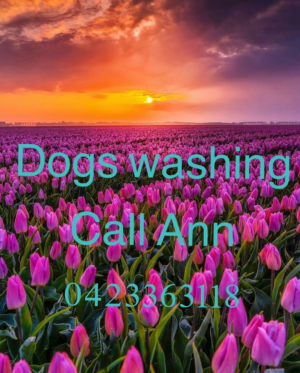 Ann Alterations and Dogs washings | 90 Raglan St, Preston VIC 3072, Australia | Phone: 0423 363 118