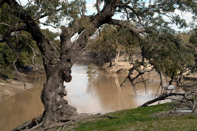 Trilby Station | lodging | Louth Tilpa Road west side river, Louth Via Bourke NSW 2840, Australia | 0268747420 OR +61 2 6874 7420