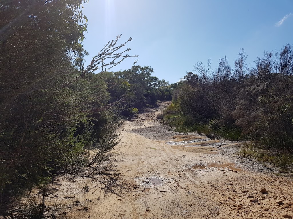 Uloola Falls campground | Karloo Pools Walking Track E, Royal National Park NSW 2233, Australia | Phone: 1300 072 757