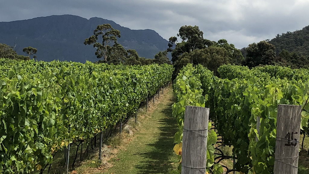 Myrtle Creek Vineyard | 176 Myrtle Creek Rd, Liffey TAS 7301, Australia | Phone: 0407 007 843