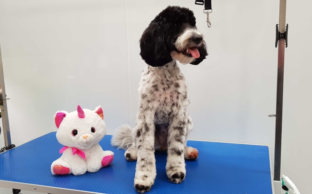 Mollys Paws Deluxe Dog Grooming | Raymond Ave, Langwarrin VIC 3910, Australia | Phone: 0450 730 424