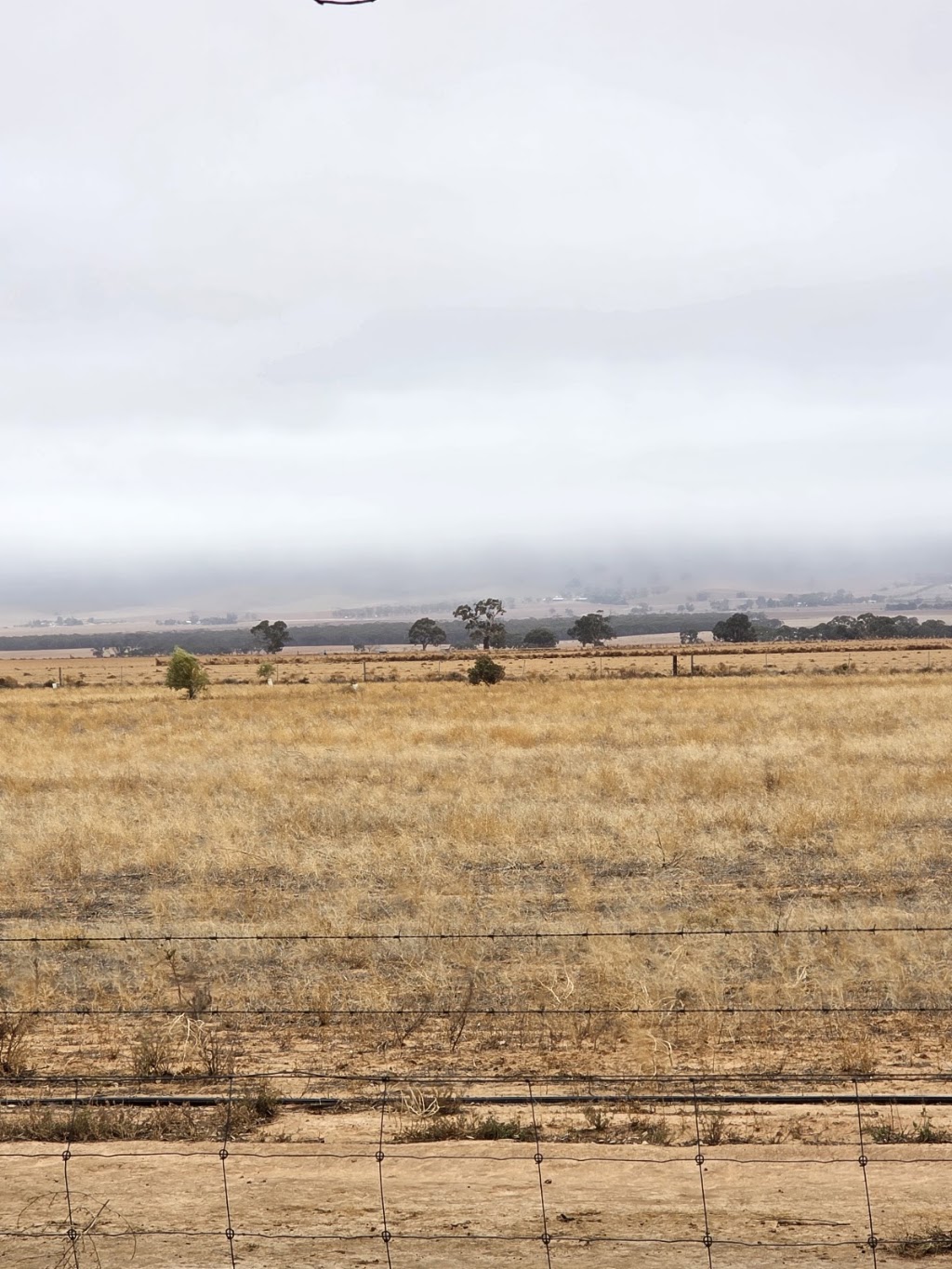 Robertstown Oval Campground | Worlds End Hwy, Robertstown SA 5381, Australia | Phone: (08) 8581 7209
