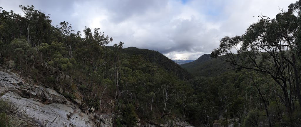 Myanba Gorge lookout | Myanba Gorge Walking Track, Coolangubra NSW 2550, Australia | Phone: (02) 6458 5900