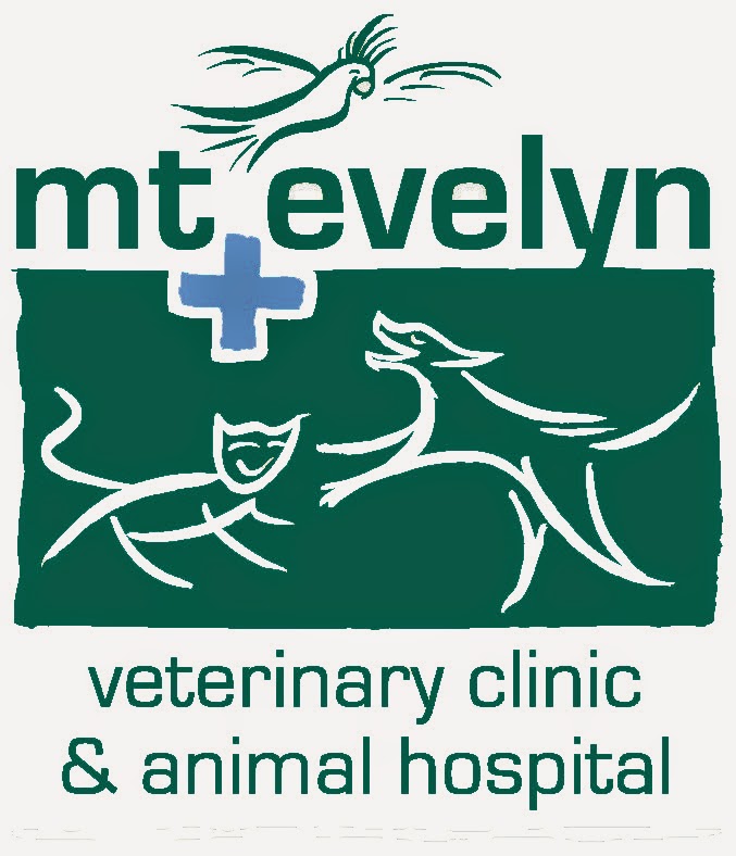 Mount Evelyn Veterinary Clinic & Animal Hospital | veterinary care | 40 Hereford Rd, Mount Evelyn VIC 3796, Australia | 0397363088 OR +61 3 9736 3088
