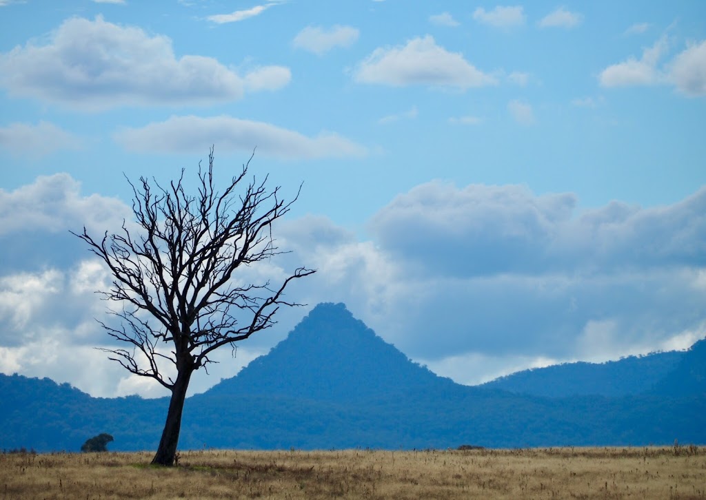 Rylstone Cemetery | 1 Narrango Rd, Rylstone NSW 2849, Australia | Phone: 1300 765 002