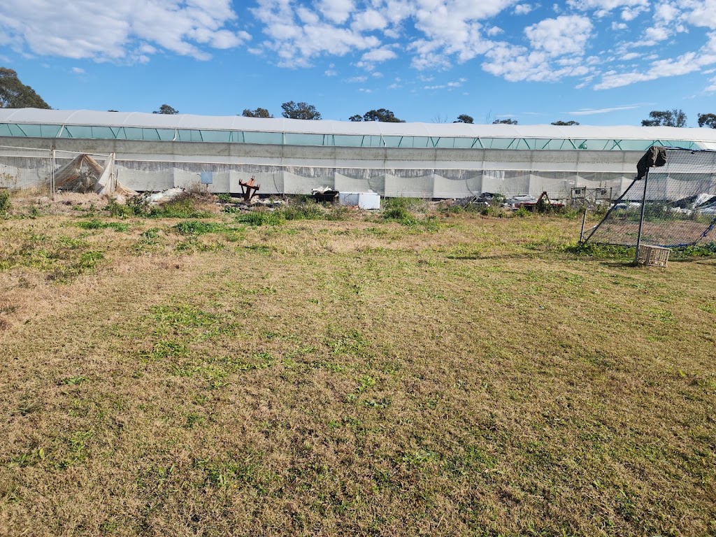 Greenleaves farm | 77-81 Taylor Rd, Cranebrook NSW 2749, Australia | Phone: 0478 785 966