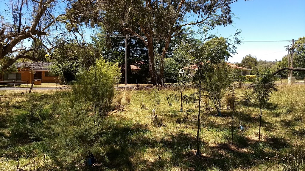 Angophora Bushland Reserve | Corner of Bona Vista Road and, Burgess St, Armidale NSW 2350, Australia