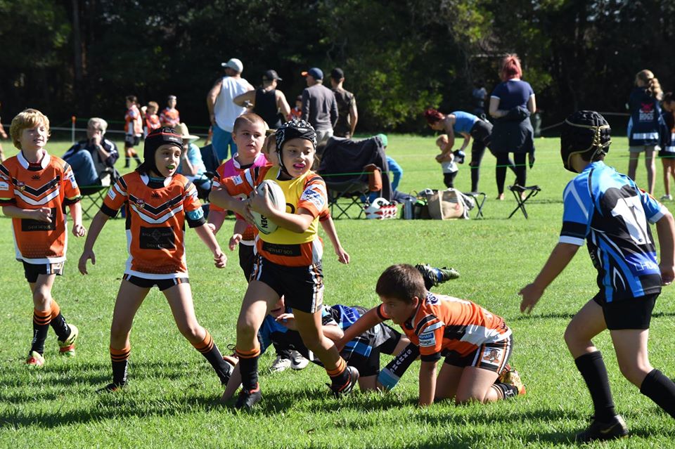 Wingham Junior Rugby League | Coglan Ave, Wingham NSW 2429, Australia | Phone: 0409 930 420