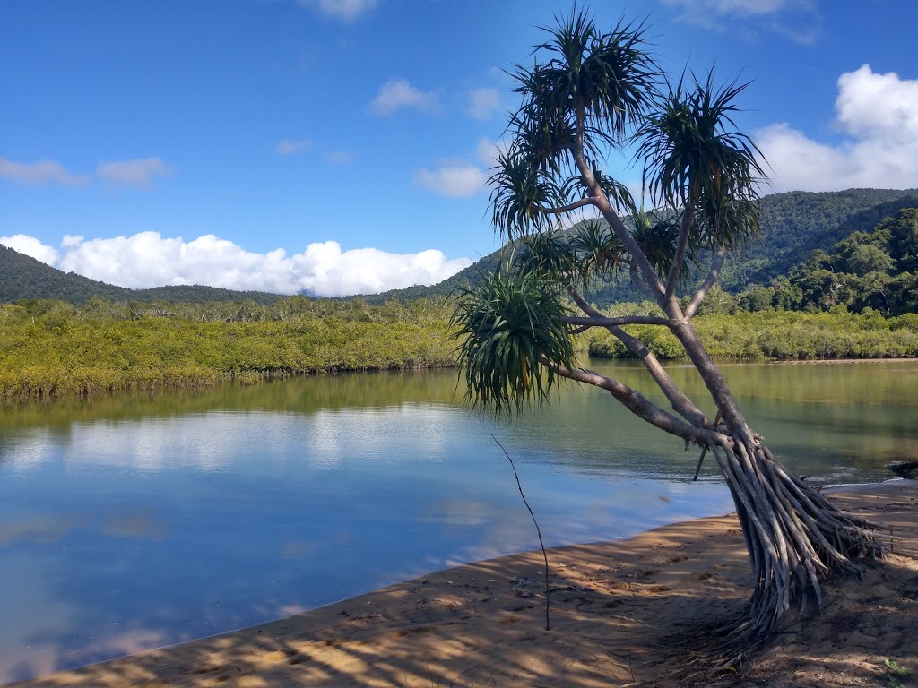 Russell River National Park | East Russell QLD 4861, Australia | Phone: 13 74 68