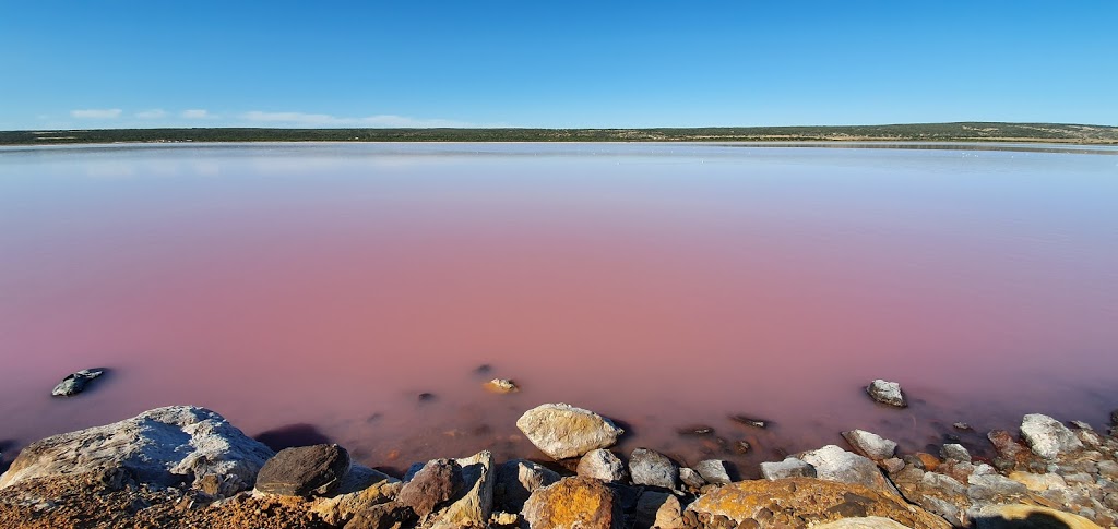 Pink Lake | Port Gregory Rd, Gregory WA 6535, Australia