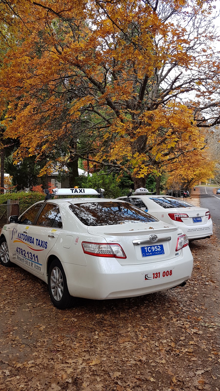 Katoomba Taxis | 13 Albion St, Katoomba NSW 2780, Australia | Phone: (02) 4782 1311