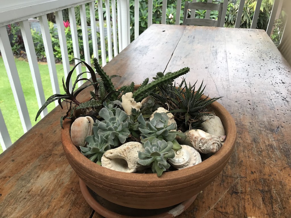 Starfish Cottage Stays | 1 Henderson St, Valla Beach NSW 2448, Australia | Phone: 0409 590 776