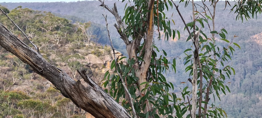 Echo Point Picnic Area | Lovers Walk Track, Bundanoon NSW 2578, Australia | Phone: (02) 4887 7270