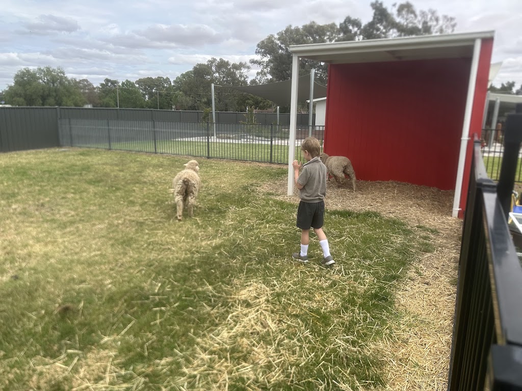 Corowa Kids Early Learning | 116 Federation Ave, Corowa NSW 2646, Australia | Phone: (02) 6069 1000
