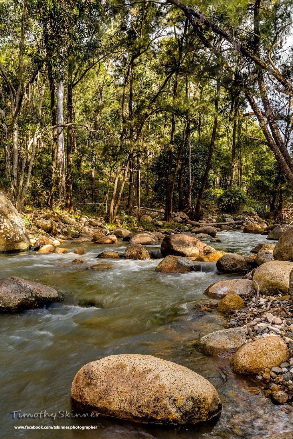 Yellowpinch Carpark | Mount Barney, Mountbarney Lodge, 1093 Upper Logan Rd, Mount Barney QLD 4287, Australia