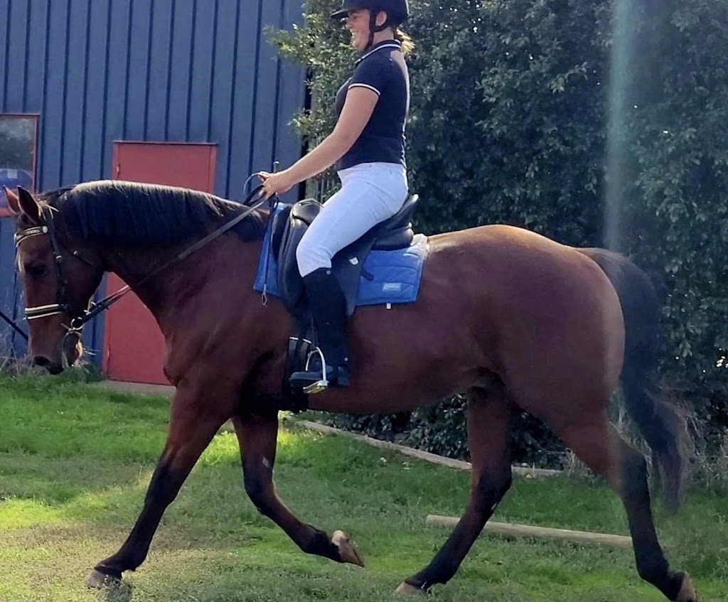 Intrinsic Equine | Everard Rd, Kyabram VIC 3620, Australia | Phone: 0447 431 584