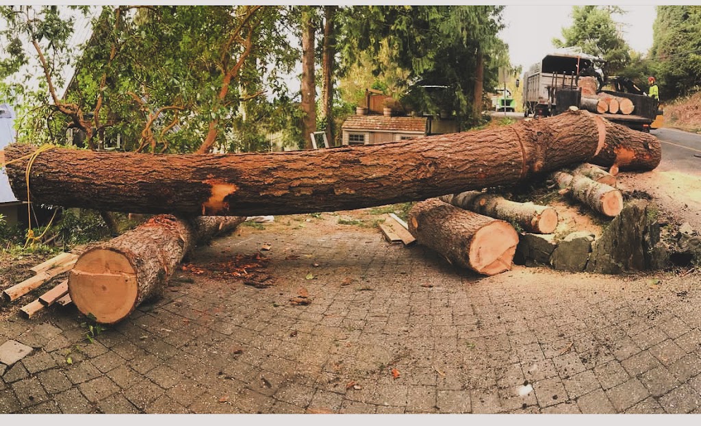 Tiger tree care | 90 Carlton Beach Rd, Dodges Ferry TAS 7173, Australia | Phone: 0457 585 139