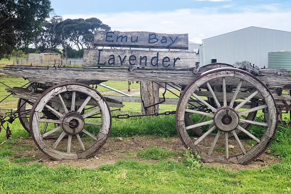 Emu Bay Lavender Farm | 205 Emu Bay Rd, Wisanger SA 5223, Australia | Phone: (08) 8553 5338