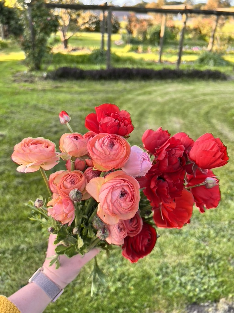 Wattle Bank Patch | 15 Desmond Rd, Wattle Bank VIC 3995, Australia | Phone: 0421 053 513