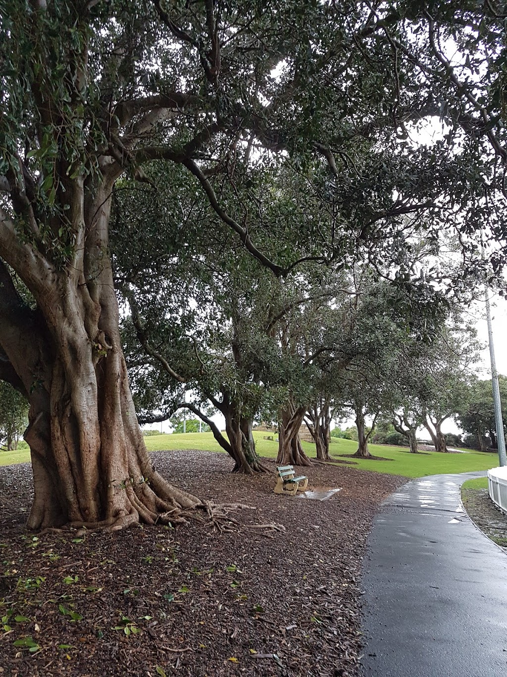 Rawson Park Tennis Centre | Alexander Ave, Mosman NSW 2088, Australia | Phone: (02) 9968 1833