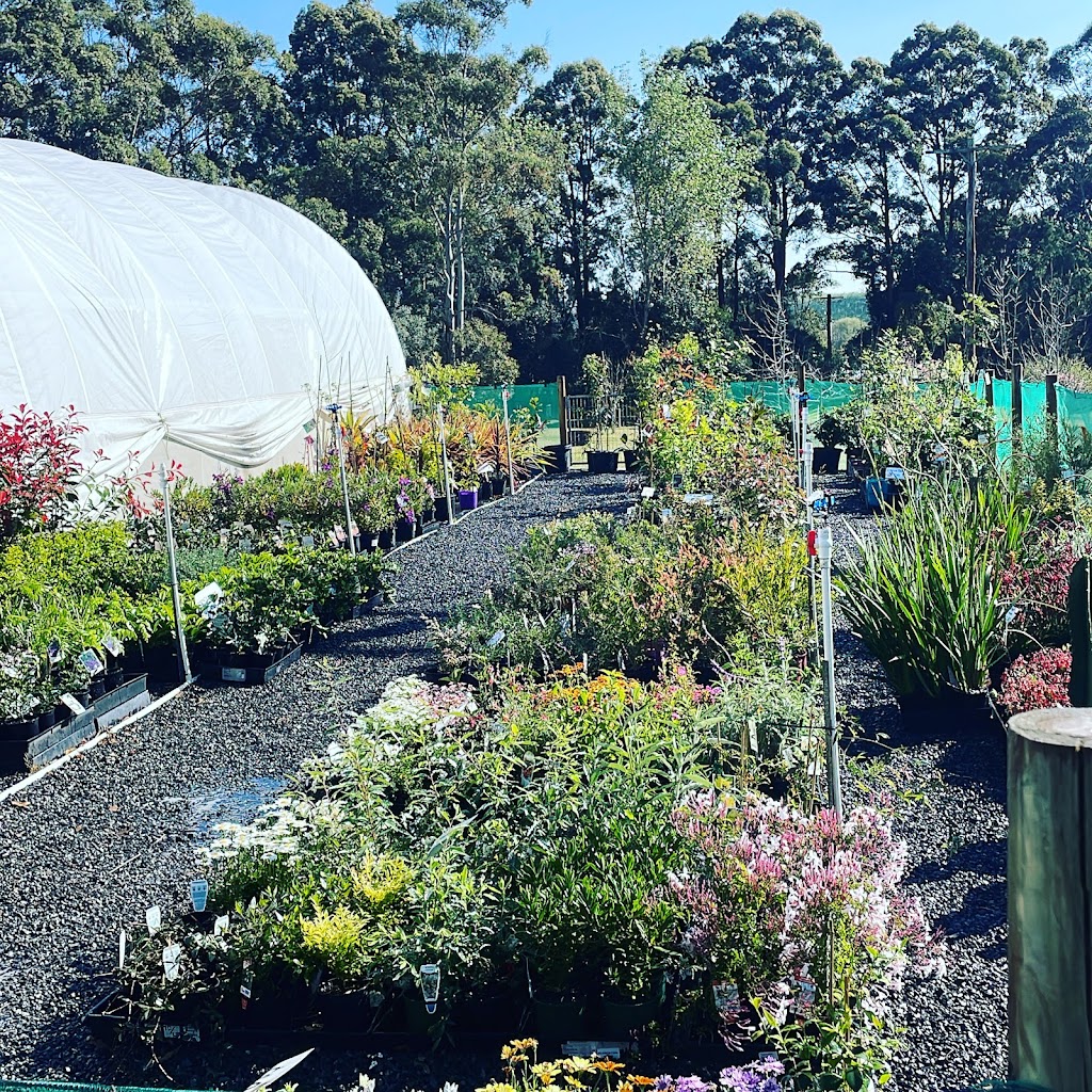 The Dirty Gardener | 943 Paterson Rd, Woodville NSW 2321, Australia | Phone: 0439 602 990