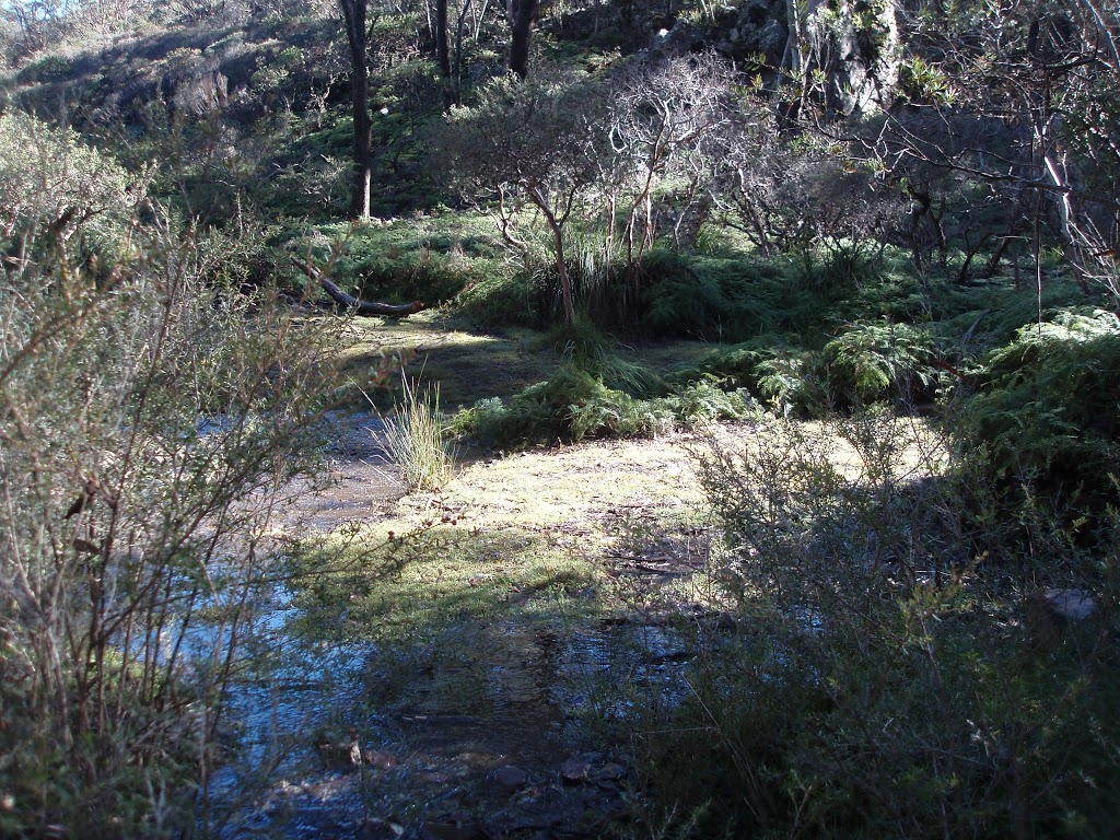 Dex Creek Bush Camping Area | campground | Blue Mountains National Park South NSW 2787, Australia